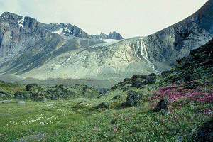 Baffin Island